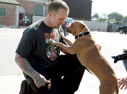 Jesse James, Twitter Jesse James, Twitter